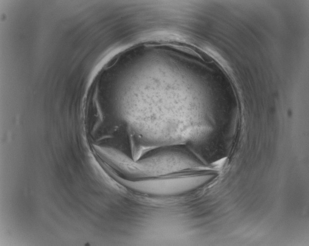 X0000065251392200603031752