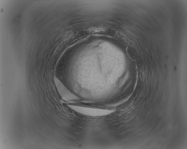 X0000065251393200603031752