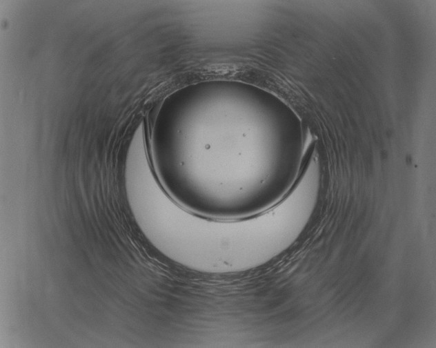 X0000065251394200603031752