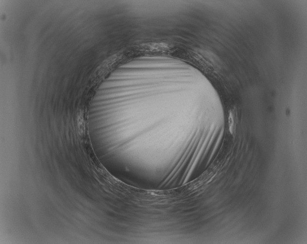 X0000065251395200603031752