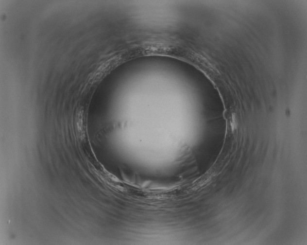 X0000065251396200603031752