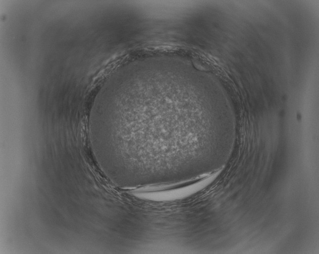 X0000065251397200603031752