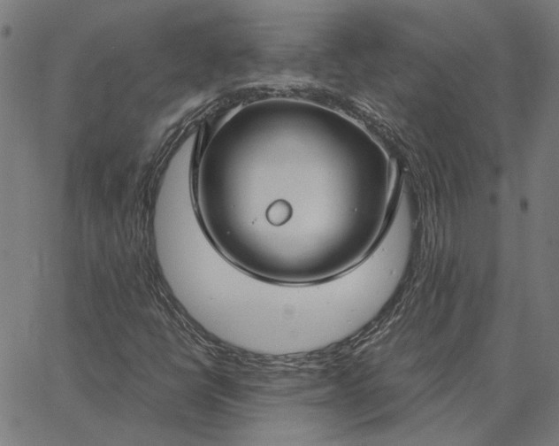 X0000065251398200603031752