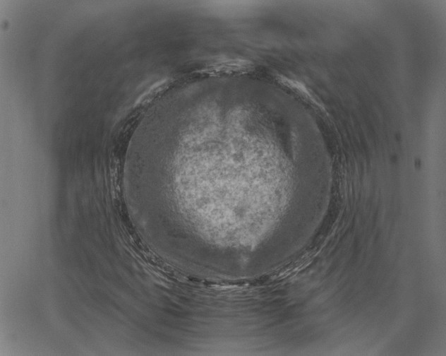 X0000065251399200603031752