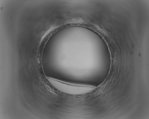 X0000065251400200603031752