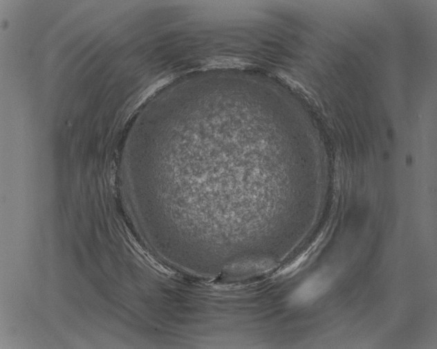 X0000065251401200603031752