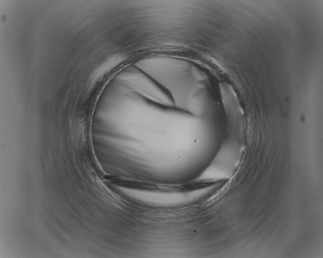 X0000065251402200603031752