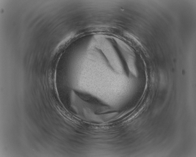 X0000065251403200603031752