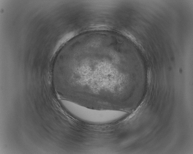 X0000065251405200603031752