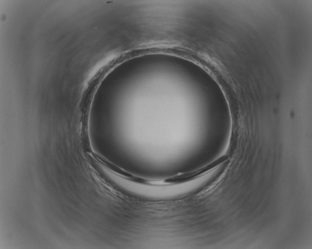 X0000065251406200603031752