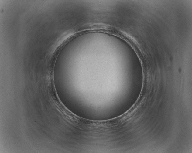 X0000065251407200603031752