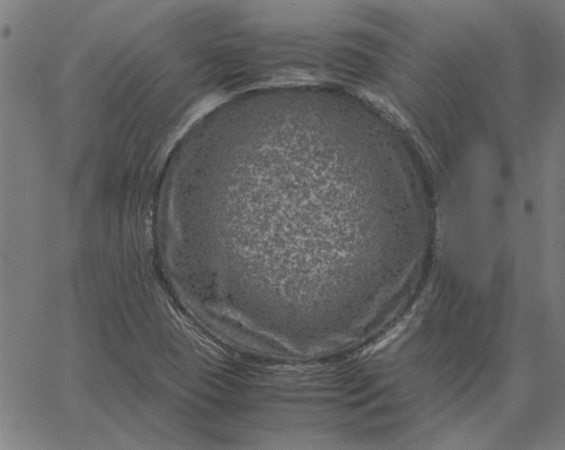 X0000065251409200603031752