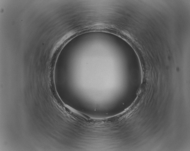 X0000065251410200603031752