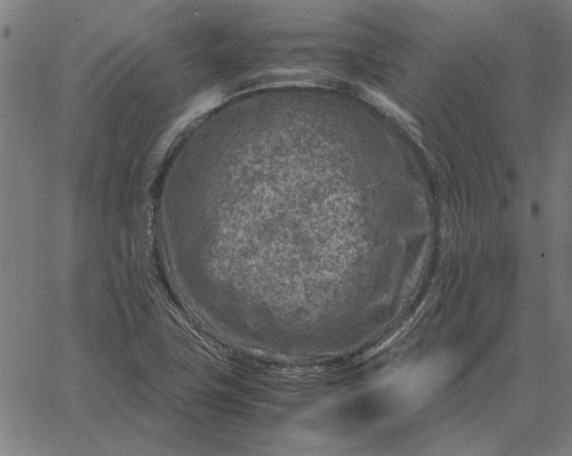 X0000065251411200603031752