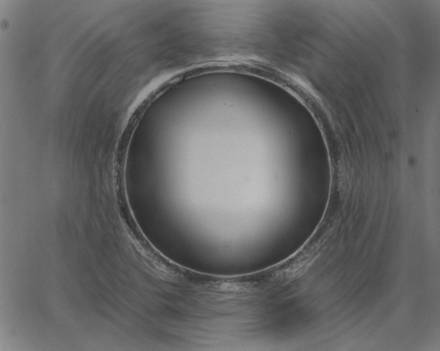 X0000065251412200603031752