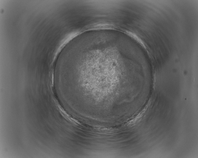 X0000065251413200603031752