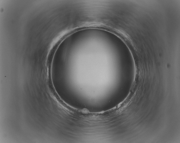 X0000065251414200603031752