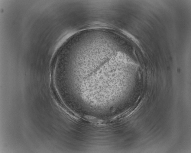 X0000065251415200603031752