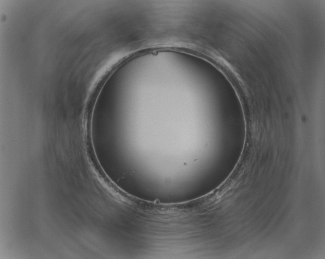 X0000065251416200603031752