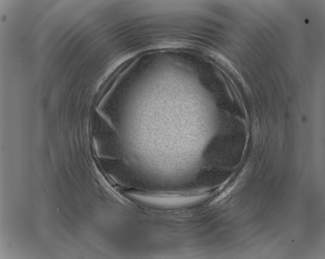 X0000065251417200603031752