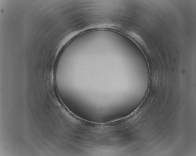 X0000065251420200603031752