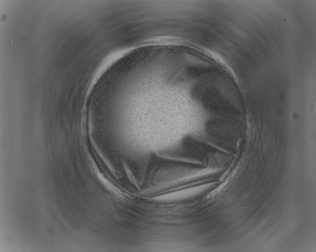 X0000065251421200603031752