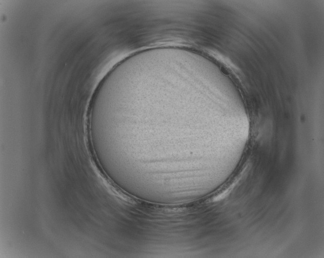 X0000065251423200603031752