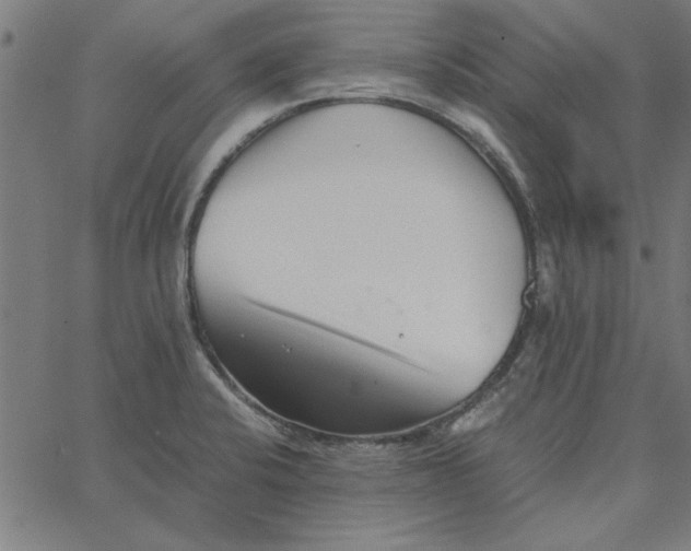 X0000065251424200603031752