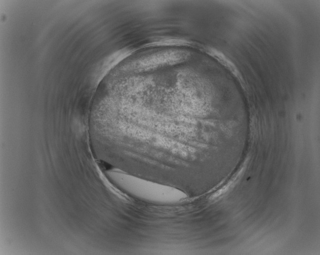 X0000065251425200603031752