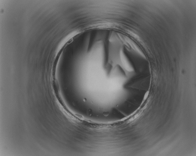 X0000065251426200603031752