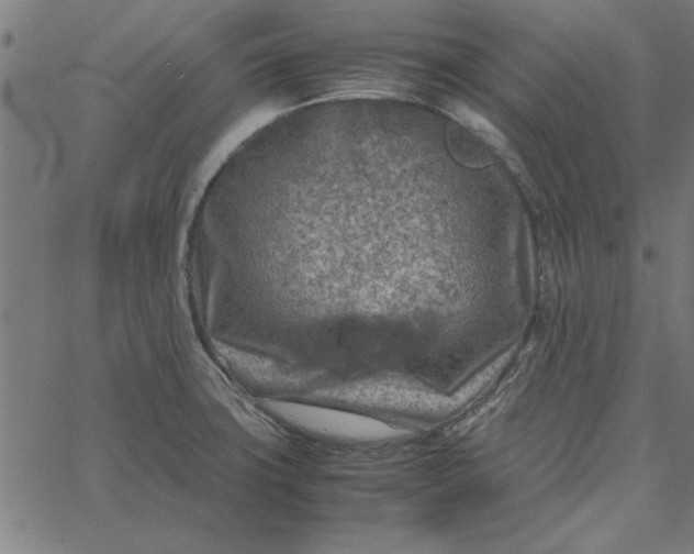 X0000065251427200603031752