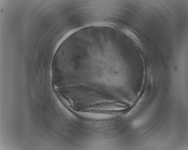 X0000065251428200603031752