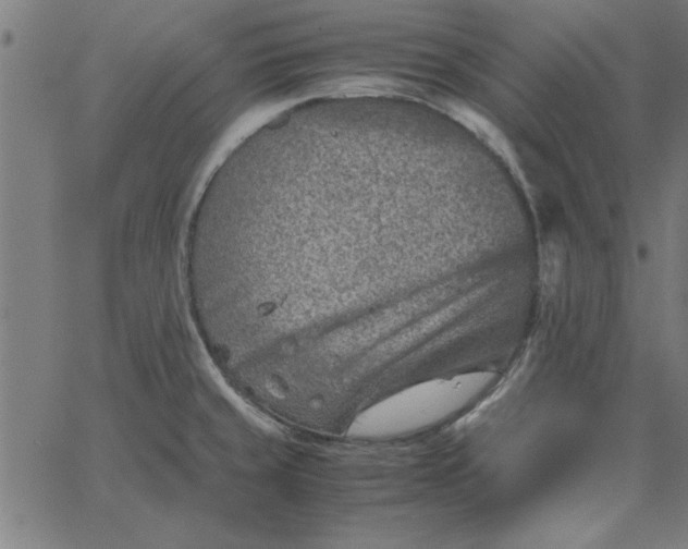 X0000065251429200603031752