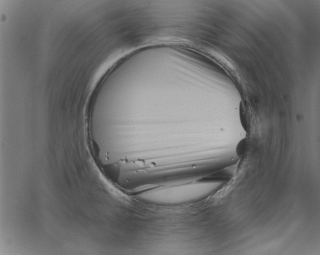 X0000065251430200603031752