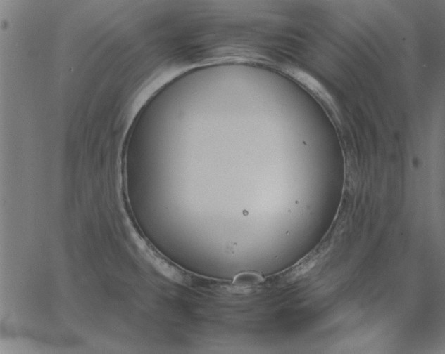 X0000065251431200603031752