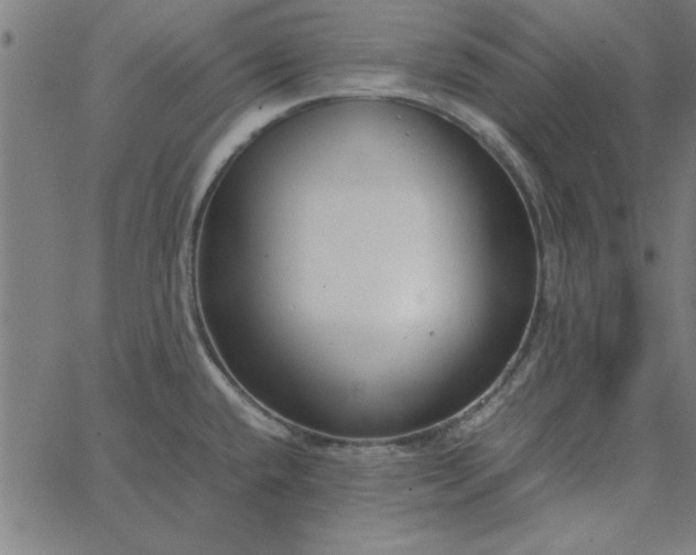 X0000065251432200603031752