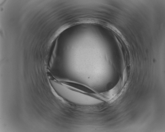 X0000065251433200603031752