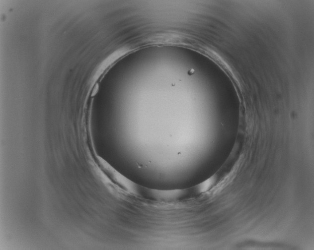 X0000065251434200603031752