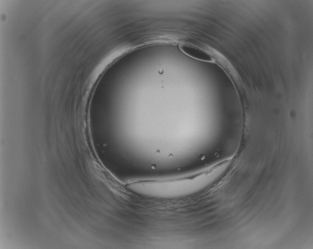 X0000065251435200603031752