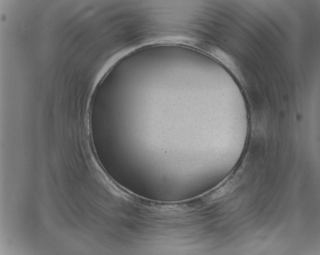 X0000065251436200603031752