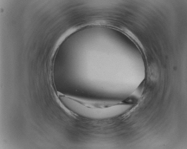 X0000065251437200603031752