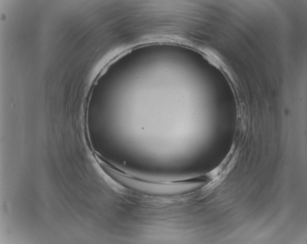 X0000065251438200603031752