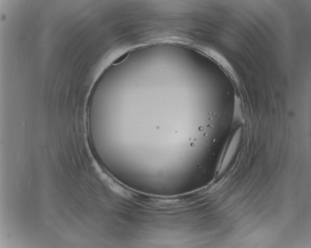 X0000065251439200603031752