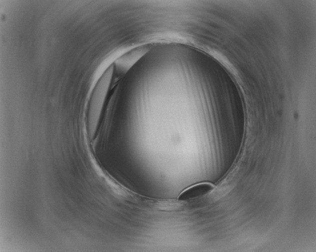 X0000065251440200603031752