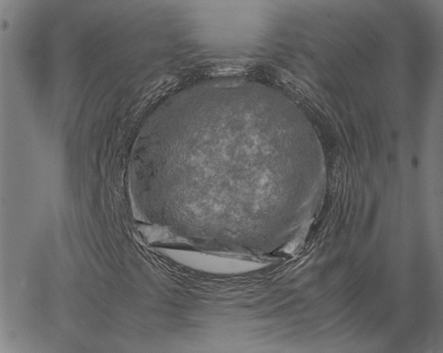 X0000065251441200603031752