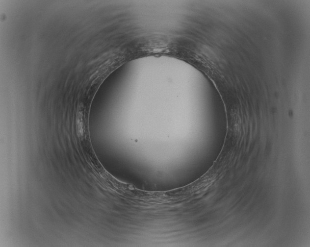 X0000065251442200603031752