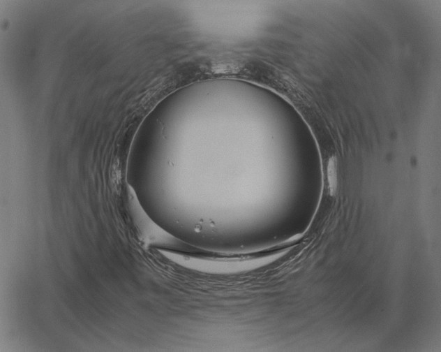 X0000065251443200603031752