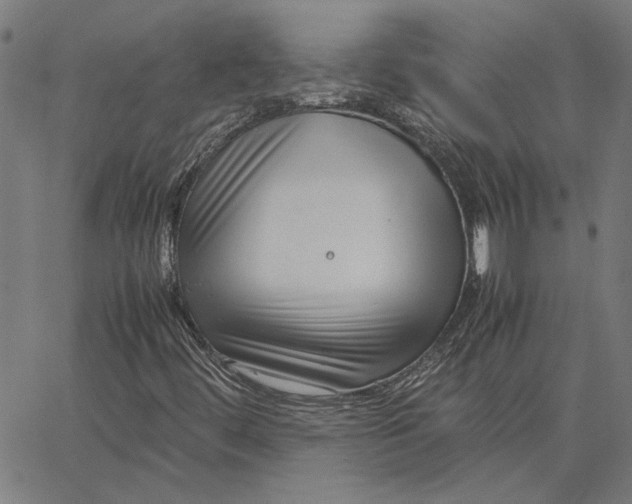 X0000065251444200603031752