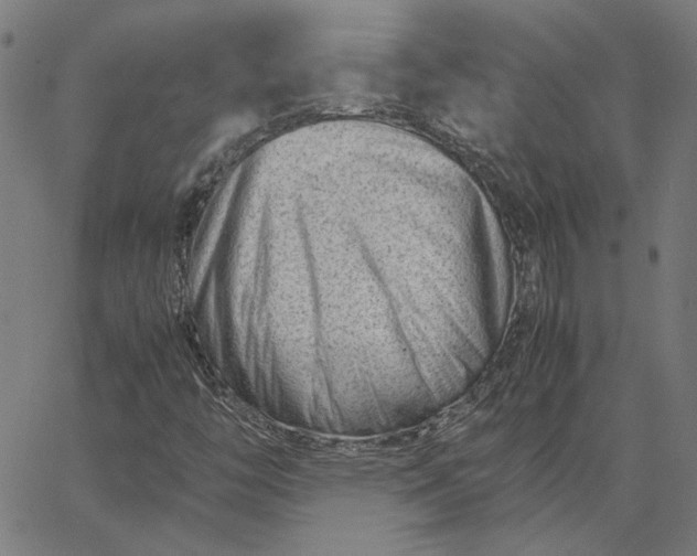 X0000065251446200603031752