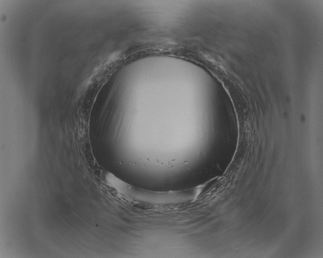 X0000065251447200603031752